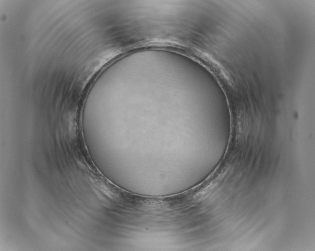 X0000088601170200706081345