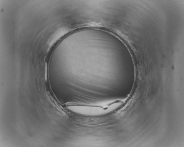 X0000088601171200706081345