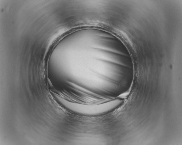 X0000088601172200706081345