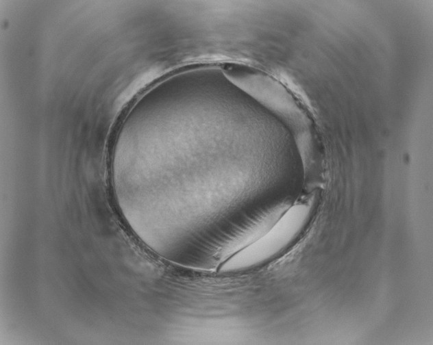 X0000088601173200706081345