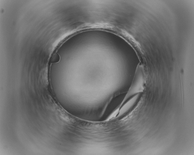 X0000088601174200706081345