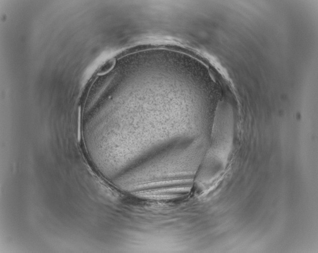 X0000088601175200706081345