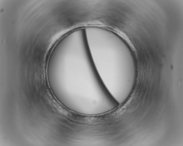 X0000088601176200706081345