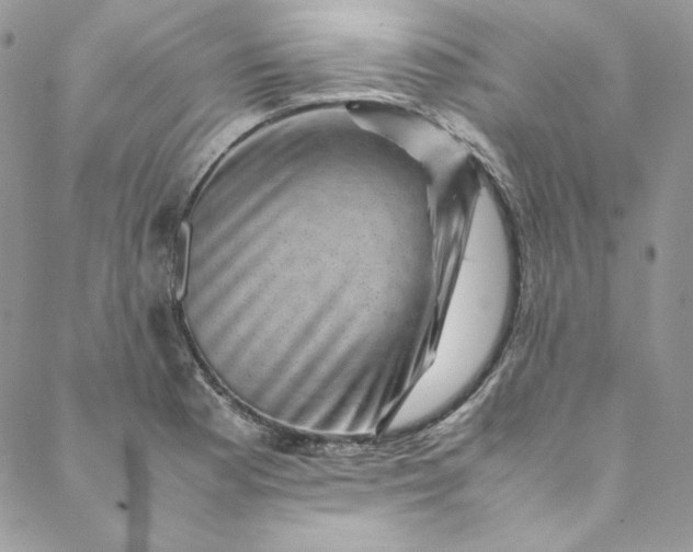 X0000088601177200706081345