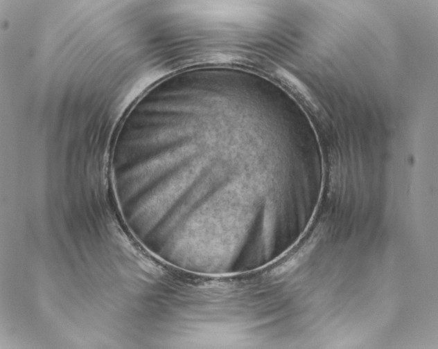 X0000088601178200706081345