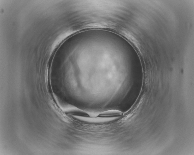 X0000088601179200706081345