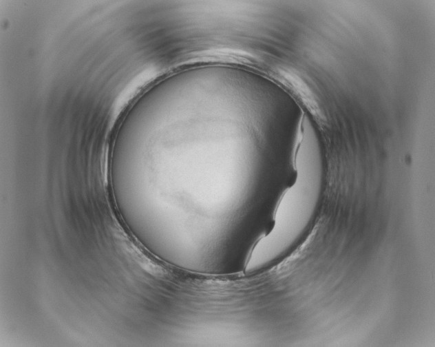 X0000088601180200706081345