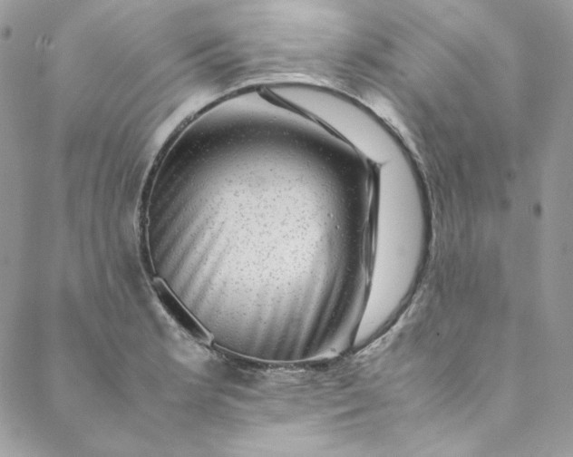 X0000088601181200706081345