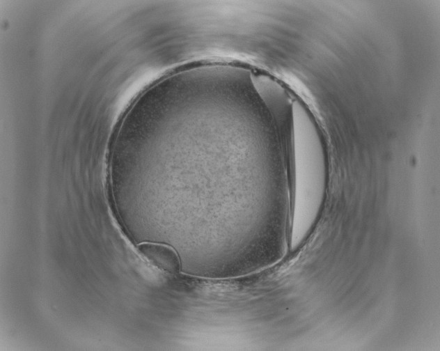 X0000088601183200706081345