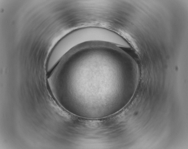 X0000088601184200706081345