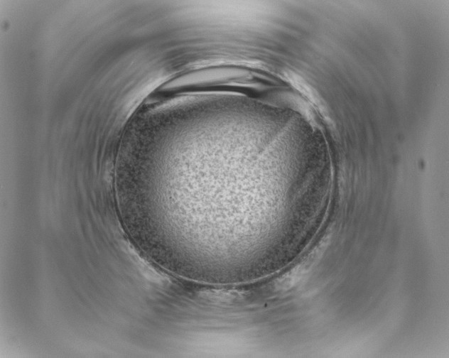 X0000088601185200706081345