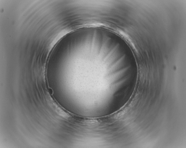 X0000088601186200706081345