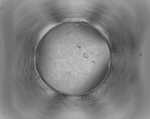 X0000088601187200706081345