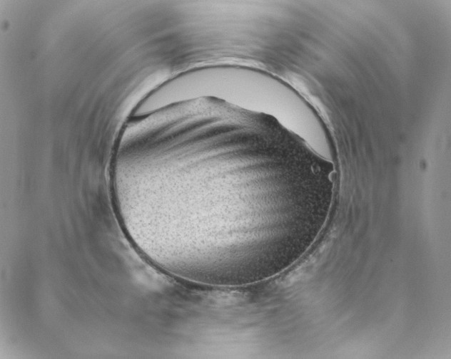 X0000088601189200706081345