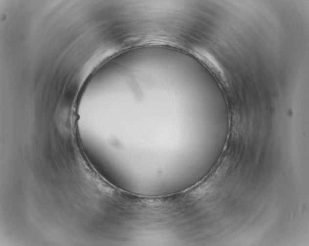 X0000088601190200706081345