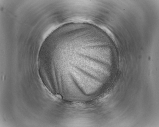 X0000088601191200706081345