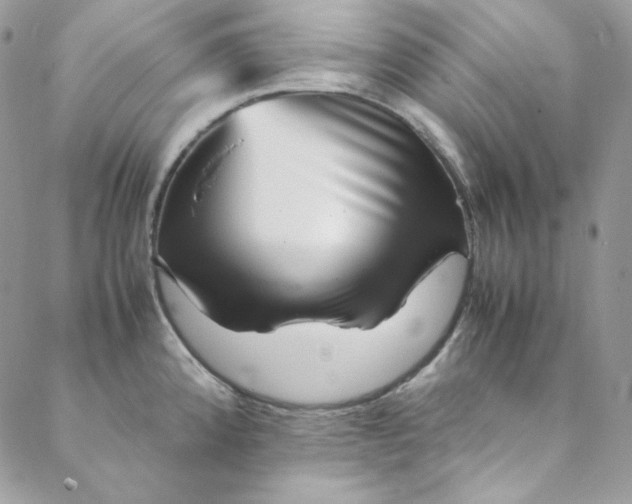 X0000088601192200706081345