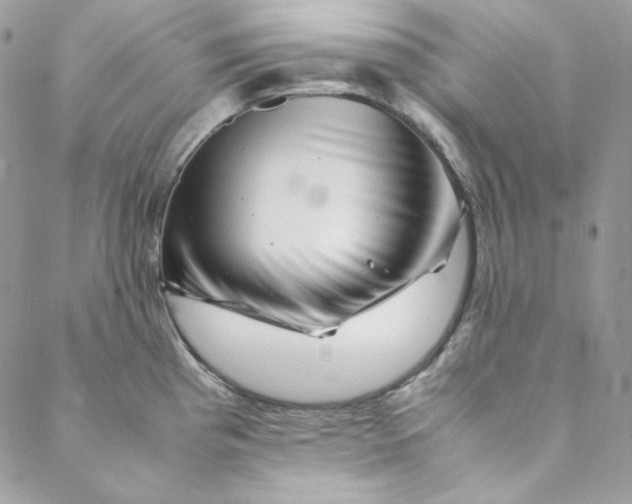 X0000088601193200706081345