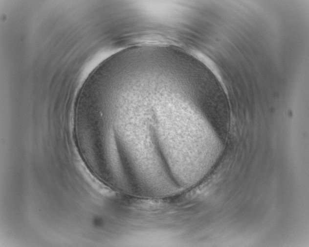 X0000088601195200706081345