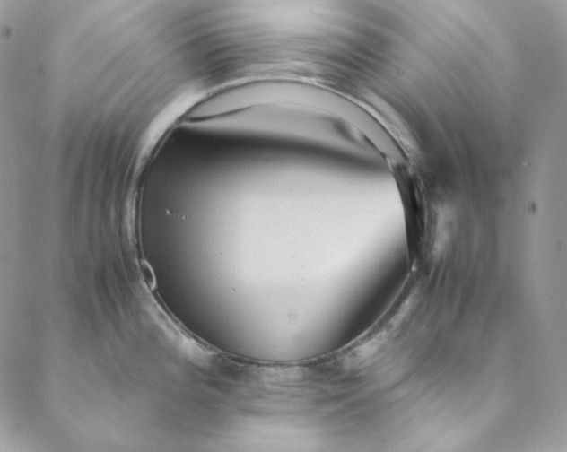 X0000088601196200706081345