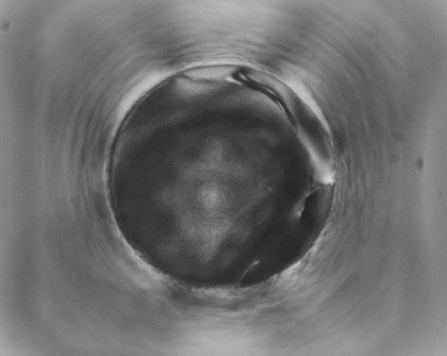 X0000088601197200706081345