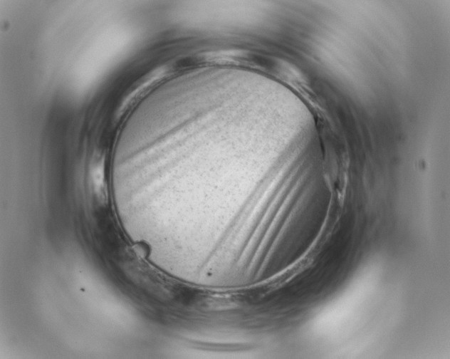 X0000088601198200706081345