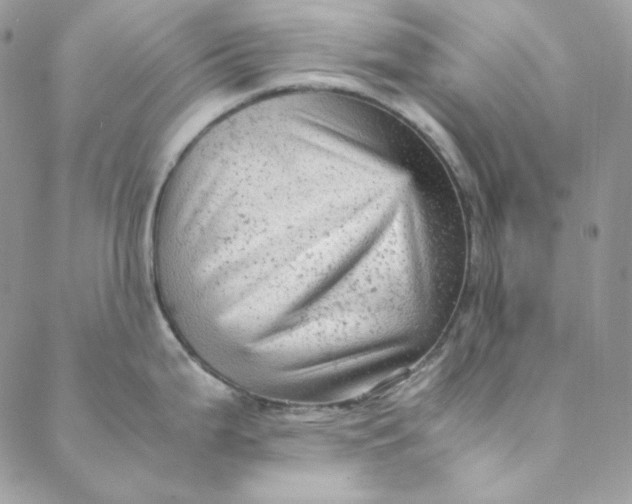 X0000088601199200706081345