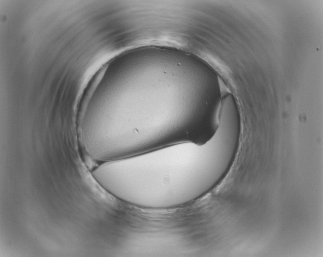 X0000088601200200706081345