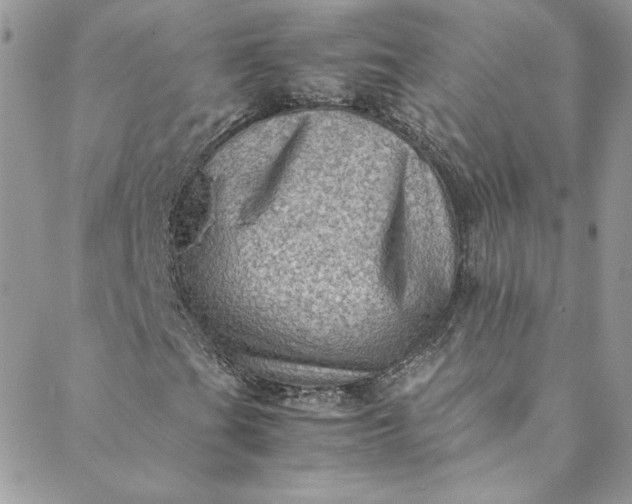 X0000088601201200706081344