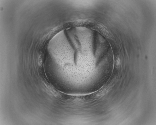 X0000088601204200706081344