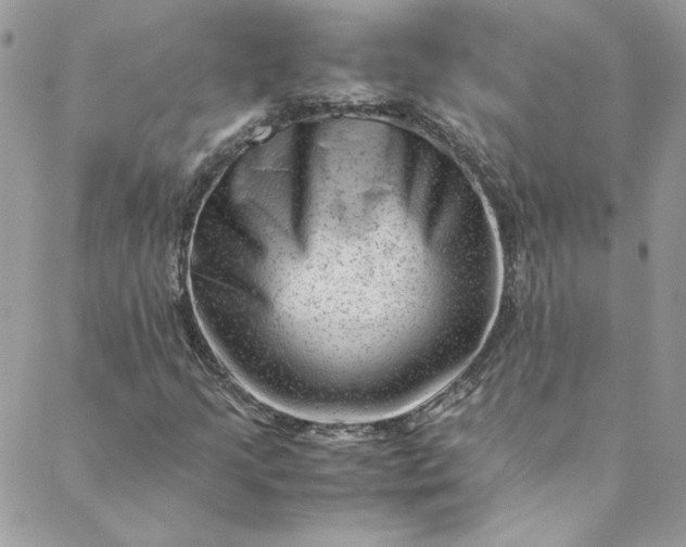 X0000088601205200706081344