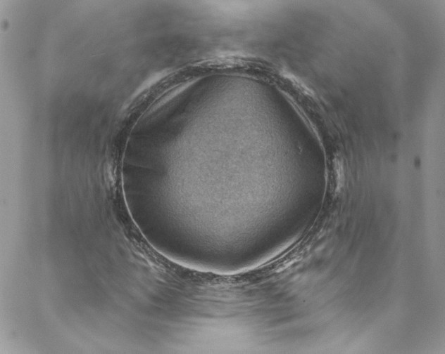 X0000088601206200706081344