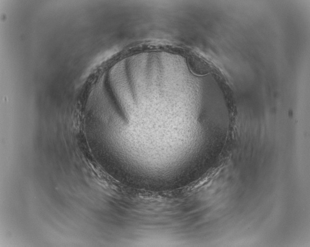 X0000088601207200706081344