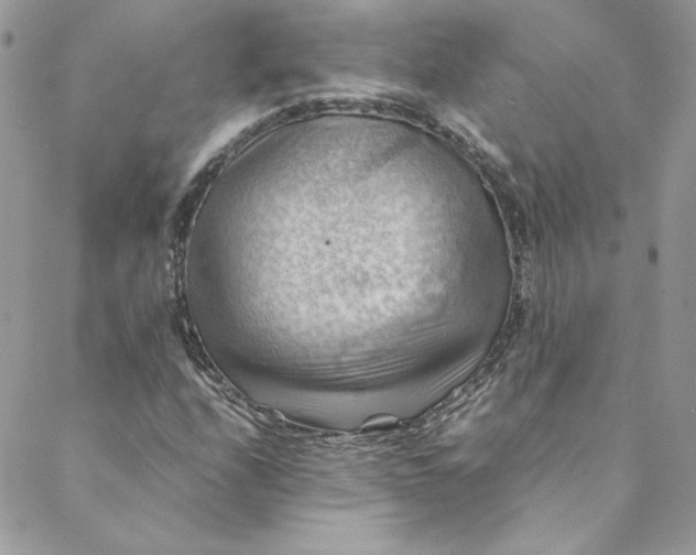 X0000088601208200706081344