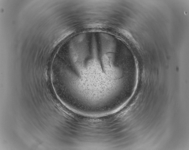 X0000088601209200706081344