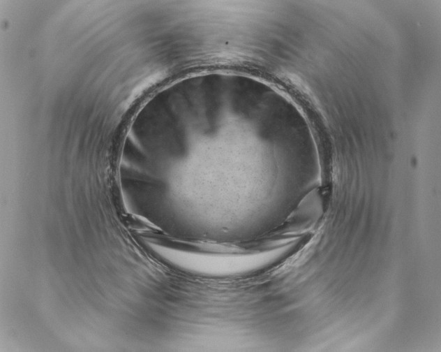 X0000088601210200706081344