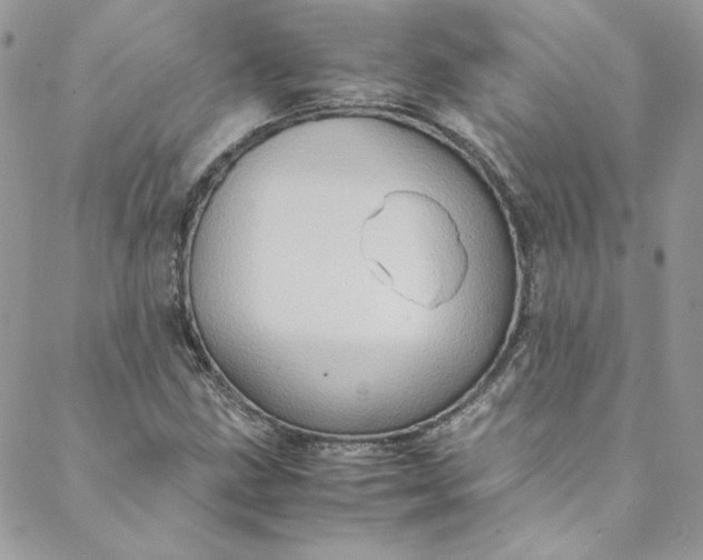 X0000088601211200706081344