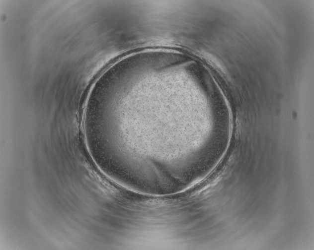 X0000088601212200706081344