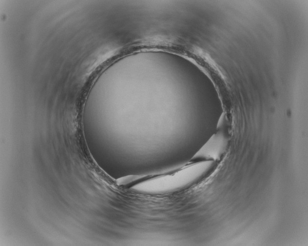 X0000088601213200706081344