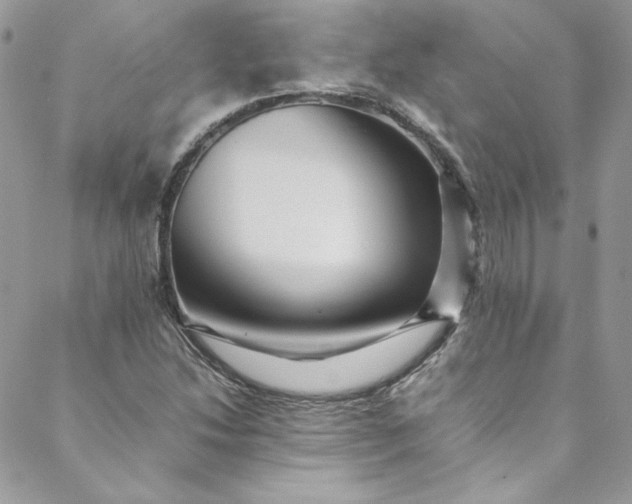 X0000088601214200706081344