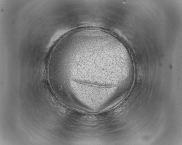 X0000088601215200706081344