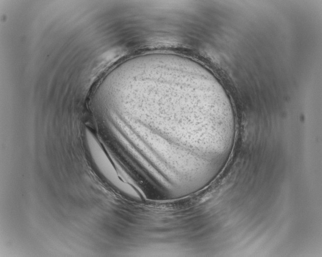 X0000088601217200706081344