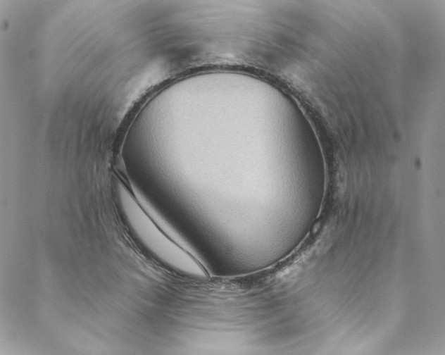 X0000088601218200706081344