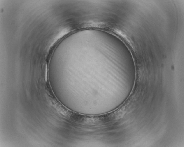 X0000088601219200706081344