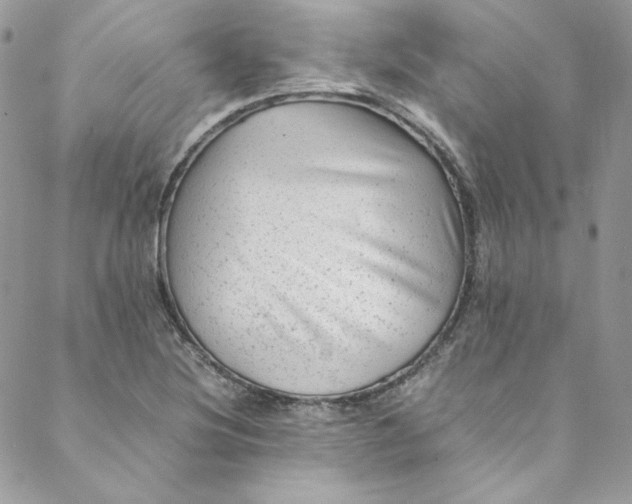 X0000088601220200706081344