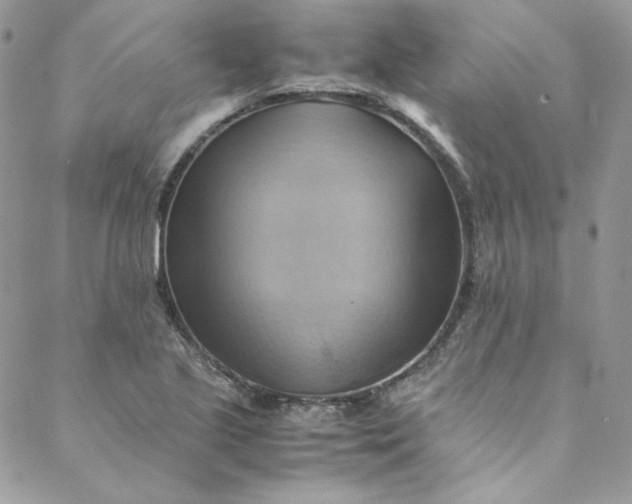 X0000088601221200706081344