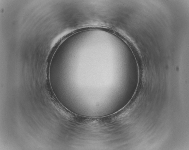 X0000088601222200706081344