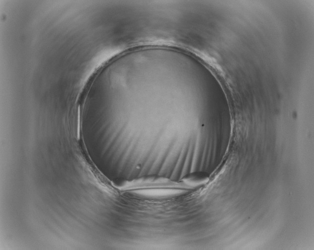 X0000088601223200706081344