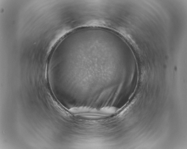 X0000088601224200706081344