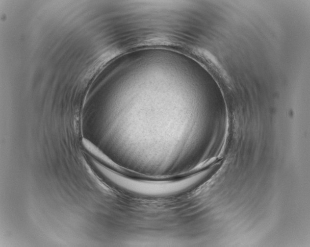 X0000088601225200706081344